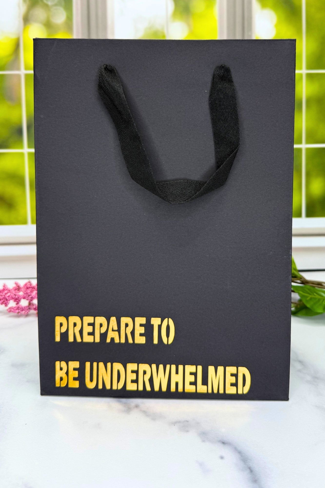 Prepare to be Underwhelmed Gift Bag - Adorned Rebel